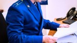 Прокурор Половинского района посетил детский оздоровительный лагерь МОУ «Зеленый борок»